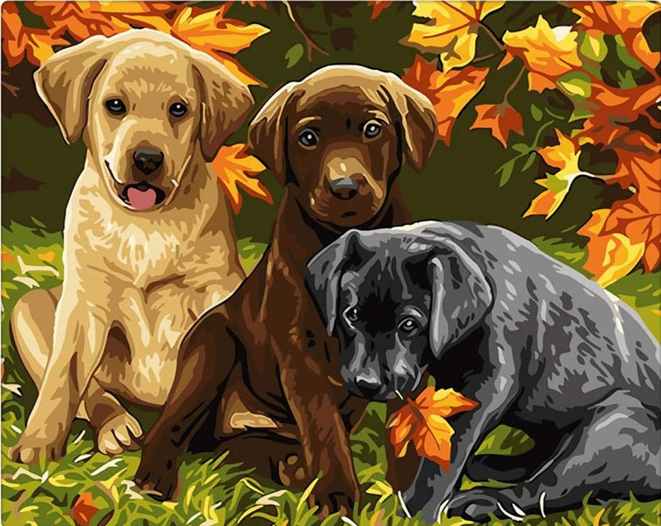 Sayılarla Boyama Seti - Yavru Köpekler