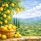 Sayılarla Boyama Seti - Akdeniz Limonları