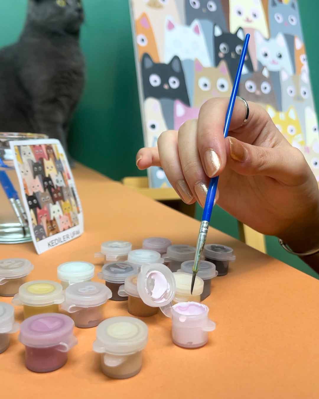 Sayılarla Boyama Seti -  Kediler