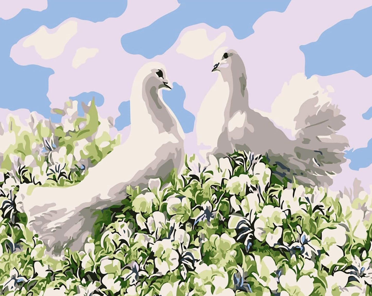 Sayılarla Boyama Seti -  Beyaz Güvercinler